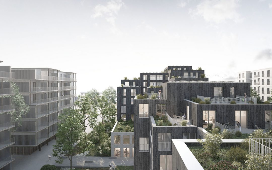 Plaines-du-Loup, Lausanne