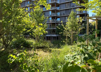 Logements coopératifs route de Ferney, Genève