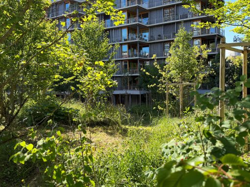 Logements coopératifs route de Ferney, Genève